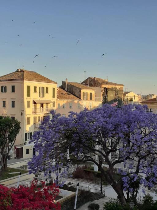 Apartamento Old Town Corfu Romantic Studio Manto Nymfes Exterior foto